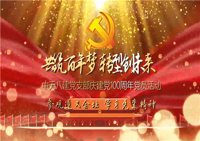 八建党支部庆党建100周年党员活动