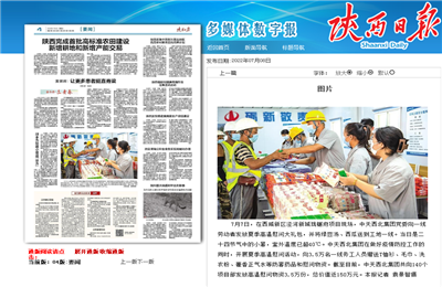 西北集团珑樾府项目高温慰问——《陕西日报》